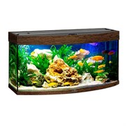 Купить Аквариум Biodesign Панорама 120, силикатное стекло Pilkington Optifloat™, 5-6 мм, 117 л, 81x38x52 см, шторка для автокормушки, венге