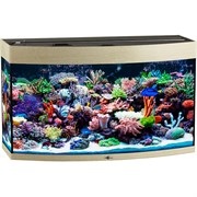Купить Аквариум Biodesign Панорама 150, силикатное стекло Pilkington Optifloat™, 6-8 мм, 147 л, 91x41x54 см, шторка для автокормушки, беленый дуб