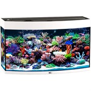 Купить Аквариум Biodesign Панорама 150, силикатное стекло Pilkington Optifloat™, 6-8 мм, 147 л, 91x41x54 см, шторка для автокормушки, белый