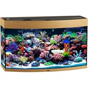 Купить Аквариум Biodesign Панорама 150, силикатное стекло Pilkington Optifloat™, 6-8 мм, 147 л, 91x41x54 см, шторка для автокормушки, бук