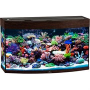 Купить Аквариум Biodesign Панорама 150, силикатное стекло Pilkington Optifloat™, 6-8 мм, 147 л, 91x41x54 см, шторка для автокормушки, венге