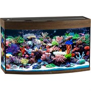 Купить Аквариум Biodesign Панорама 150, силикатное стекло Pilkington Optifloat™, 6-8 мм, 147 л, 91x41x54 см, шторка для автокормушки, золотой орех
