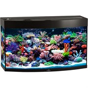 Купить Аквариум Biodesign Панорама 150, силикатное стекло Pilkington Optifloat™, 6-8 мм, 147 л, 91x41x54 см, шторка для автокормушки, черный