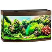 Купить Аквариум Biodesign Панорама 200, силикатное стекло Pilkington Optifloat™, 8 мм, 205 л, 101x46x60 см, шторка для автокормушки, золотой орех