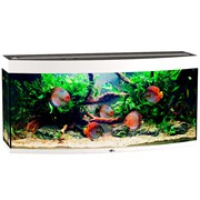 Купить Аквариум Biodesign Панорама 250, силикатное стекло Pilkington Optifloat™, 8 мм, 252 л, 126x46x60 см, шторка для автокормушки, белый