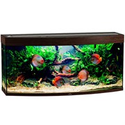 Купить Аквариум Biodesign Панорама 250, силикатное стекло Pilkington Optifloat™, 8 мм, 252 л, 126x46x60 см, шторка для автокормушки, венге