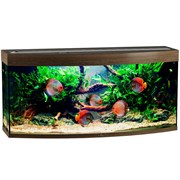 Купить Аквариум Biodesign Панорама 250, силикатное стекло Pilkington Optifloat™, 8 мм, 252 л, 126x46x60 см, шторка для автокормушки, золотой орех
