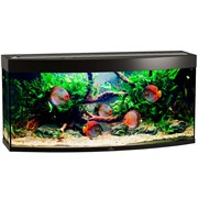 Купить Аквариум Biodesign Панорама 250, силикатное стекло Pilkington Optifloat™, 8 мм, 252 л, 126x46x60 см, шторка для автокормушки, черный