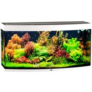 Купить Аквариум Biodesign Панорама 300, силикатное стекло Pilkington Optifloat™, 10 мм, 305 л, 126x51x65 см, шторка для автокормушки, белый