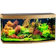 Купить Аквариум Biodesign Панорама 300, силикатное стекло Pilkington Optifloat™, 10 мм, 305 л, 126x51x65 см, шторка для автокормушки, бук