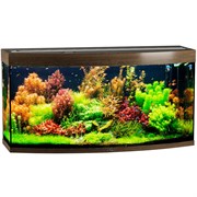 Купить Аквариум Biodesign Панорама 300, силикатное стекло Pilkington Optifloat™, 10 мм, 305 л, 126x51x65 см, шторка для автокормушки, золотой орех