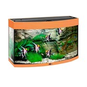 Купить Аквариум Biodesign Панорама 60, силикатное стекло Pilkington Optifloat™, 4-5 мм, 58 л, 56x32x44 см, шторка для автокормушки, бук