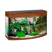 Купить Аквариум Biodesign Панорама 60, силикатное стекло Pilkington Optifloat™, 4-5 мм, 58 л, 56x32x44 см, шторка для автокормушки, золотой орех