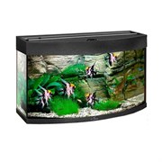 Купить Аквариум Biodesign Панорама 60, силикатное стекло Pilkington Optifloat™, 4-5 мм, 58 л, 56x32x44 см, шторка для автокормушки, черный