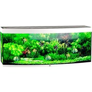 Купить Аквариум Biodesign Панорама 650, силикатное стекло Pilkington Optifloat™, 10 мм, 650 л, 181x66x75 см, шторка для автокормушки, белый