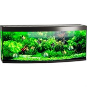 Купить Аквариум Biodesign Панорама 650, силикатное стекло Pilkington Optifloat™, 10 мм, 650 л, 181x66x75 см, шторка для автокормушки, черный