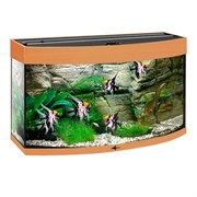 Купить Аквариум Biodesign Панорама 80, силикатное стекло Pilkington Optifloat™, 4-5 мм, 77 л, 71x33x46 см, шторка для автокормушки, бук