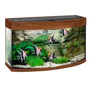 Купить Аквариум Biodesign Панорама 80, силикатное стекло Pilkington Optifloat™, 4-5 мм, 77 л, 71x33x46 см, шторка для автокормушки, золотой орех