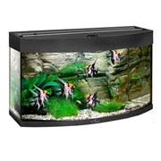 Купить Аквариум Biodesign Панорама 80, силикатное стекло Pilkington Optifloat™, 4-5 мм, 77 л, 71x33x46 см, шторка для автокормушки, черный