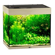 Купить Аквариум Biodesign Риф 100, силикатное стекло Pilkington Optifloat™, 5-6 мм, 100 л, 56x44x52 см, шторка для автокормушки, беленый дуб