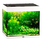 Купить Аквариум Biodesign Риф 100, силикатное стекло Pilkington Optifloat™, 5-6 мм, 100 л, 56x44x52 см, шторка для автокормушки, белый