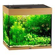 Купить Аквариум Biodesign Риф 100, силикатное стекло Pilkington Optifloat™, 5-6 мм, 100 л, 56x44x52 см, шторка для автокормушки, бук