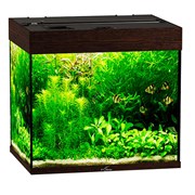 Купить Аквариум Biodesign Риф 100, силикатное стекло Pilkington Optifloat™, 5-6 мм, 100 л, 56x44x52 см, шторка для автокормушки, венге