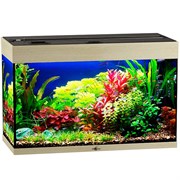 Купить Аквариум Biodesign Риф 125, силикатное стекло Pilkington Optifloat™, 5-6 мм, 125 л, 81x38x52 см, шторка для автокормушки, беленый дуб