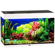 Купить Аквариум Biodesign Риф 125, силикатное стекло Pilkington Optifloat™, 5-6 мм, 125 л, 81x38x52 см, шторка для автокормушки, белый