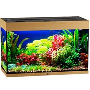 Купить Аквариум Biodesign Риф 125, силикатное стекло Pilkington Optifloat™, 5-6 мм, 125 л, 81x38x52 см, шторка для автокормушки, бук