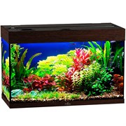 Купить Аквариум Biodesign Риф 125, силикатное стекло Pilkington Optifloat™, 5-6 мм, 125 л, 81x38x52 см, шторка для автокормушки, венге