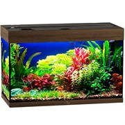 Купить Аквариум Biodesign Риф 125, силикатное стекло Pilkington Optifloat™, 5-6 мм, 125 л, 81x38x52 см, шторка для автокормушки, золотой орех