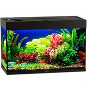 Купить Аквариум Biodesign Риф 125, силикатное стекло Pilkington Optifloat™, 5-6 мм, 125 л, 81x38x52 см, шторка для автокормушки, черный