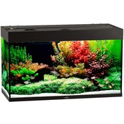 Купить Аквариум Биодизайн Риф 160, силикатное стекло Pilkington Optifloat™, 5-6 мм, 160 л, 91x41x54 см, шторка для автокормушки, черный
