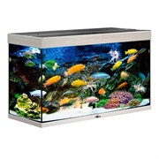 Купить Аквариум Biodesign Риф 200, силикатное стекло Pilkington Optifloat™, 6-8 мм, 185 л, 101x41x56 см, шторка для автокормушки, беленый дуб
