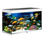 Купить Аквариум Biodesign Риф 200, силикатное стекло Pilkington Optifloat™, 6-8 мм, 185 л, 101x41x56 см, шторка для автокормушки, белый