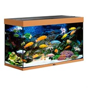 Купить Аквариум Biodesign Риф 200, силикатное стекло Pilkington Optifloat™, 6-8 мм, 185 л, 101x41x56 см, шторка для автокормушки, бук