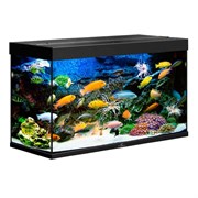 Купить Аквариум Biodesign Риф 200, силикатное стекло Pilkington Optifloat™, 6-8 мм, 185 л, 101x41x56 см, шторка для автокормушки, черный