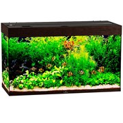 Купить Аквариум Biodesign Риф 240, силикатное стекло Pilkington Optifloat™, 6-8 мм, 225 л, 101x46x60 см, шторка для автокормушки, венге