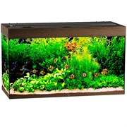 Купить Аквариум Biodesign Риф 240, силикатное стекло Pilkington Optifloat™, 6-8 мм, 225 л, 101x46x60 см, шторка для автокормушки, золотой орех