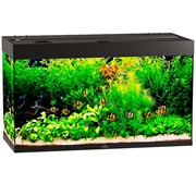 Купить Аквариум Biodesign Риф 240, силикатное стекло Pilkington Optifloat™, 6-8 мм, 225 л, 101x46x60 см, шторка для автокормушки, черный