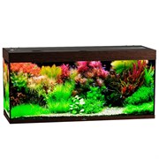 Купить Аквариум Biodesign Риф 280, силикатное стекло Pilkington Optifloat™, 6-8 мм, 280 л, 126x46x60 см, шторка для автокормушки, венге