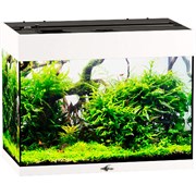 Купить Аквариум Biodesign Риф 60, силикатное стекло Pilkington Optifloat™, 4-5 мм, 60 л, 56x32x44 см, шторка для автокормушки, белый