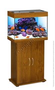 Купить Аквариум Biodesign Риф 60, силикатное стекло Pilkington Optifloat™, 4-5 мм, 60 л, 56x32x44 см, шторка для автокормушки, золотой дуб