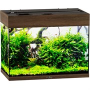 Купить Аквариум Biodesign Риф 60, силикатное стекло Pilkington Optifloat™, 4-5 мм, 60 л, 56x32x44 см, шторка для автокормушки, золотой орех