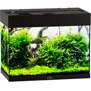 Купить Аквариум Biodesign Риф 60, силикатное стекло Pilkington Optifloat™, 4-5 мм, 60 л, 56x32x44 см, шторка для автокормушки, черный