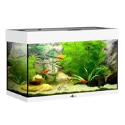 Купить Аквариум Biodesign Риф 80, силикатное стекло Pilkington Optifloat™, 4-6 мм, 82 л, 71x33x46 см, шторка для автокормушки, белый