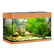 Купить Аквариум Biodesign Риф 80, силикатное стекло Pilkington Optifloat™, 4-6 мм, 82 л, 71x33x46 см, шторка для автокормушки, бук