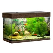 Купить Аквариум Biodesign Риф 80, силикатное стекло Pilkington Optifloat™, 4-6 мм, 82 л, 71x33x46 см, шторка для автокормушки, венге
