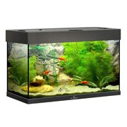 Купить Аквариум Biodesign Риф 80, силикатное стекло Pilkington Optifloat™, 4-6 мм, 82 л, 71x33x46 см, шторка для автокормушки, черный